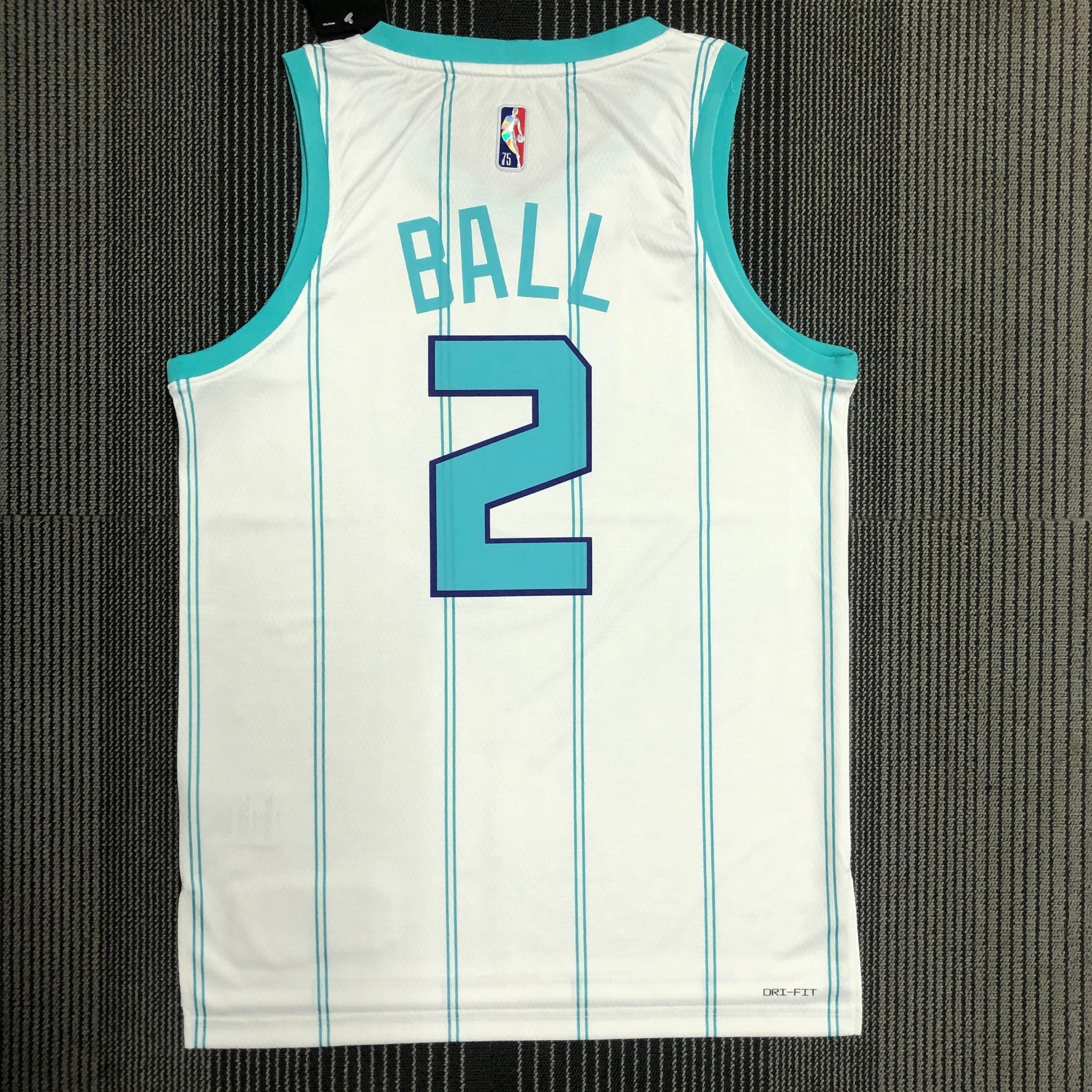 Jersey Charlotte Hornets Association Edition Diamante 75th - GOAT STORE